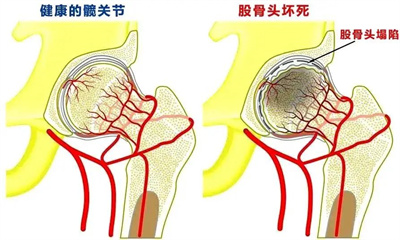 济南中德骨科02.jpg 济南中德骨科02.jpg
